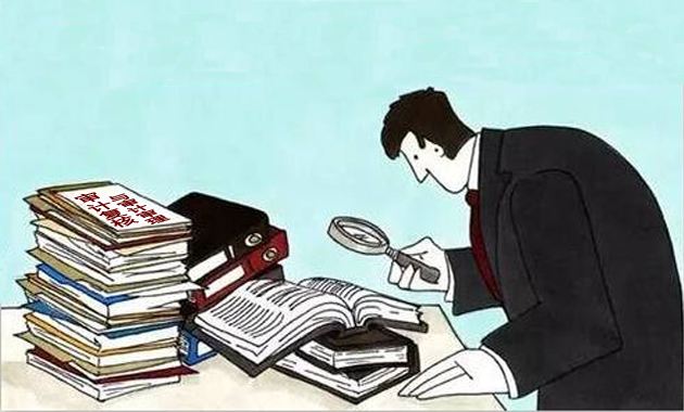 企业税审