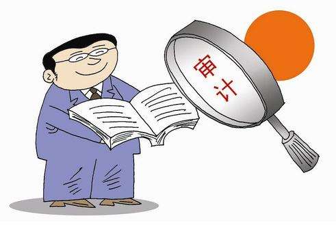 企业税审