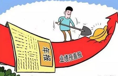 企业年报公司内容