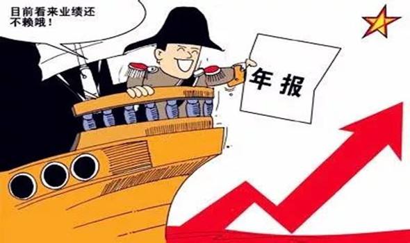公司年报内容