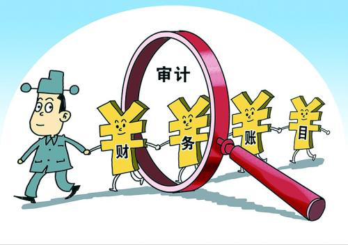 企业税审的流程