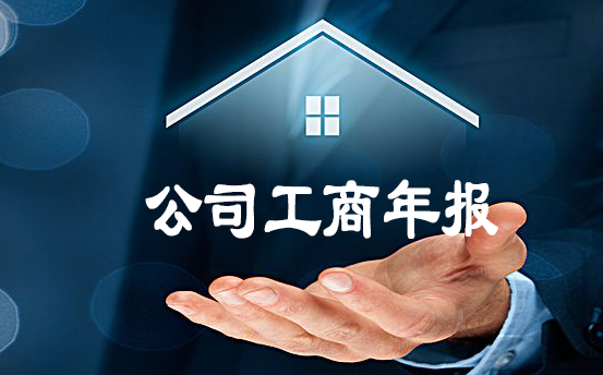公司工商年报