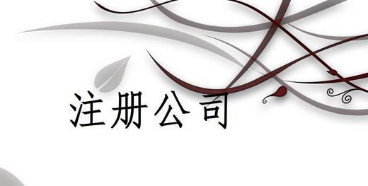 注册外资公司代理记账流程