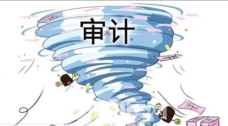 代办审计过程内容 代办审计过程内容