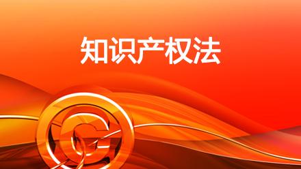 知识产权 知识产权