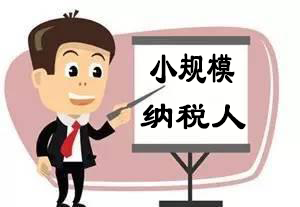 小规模纳税人