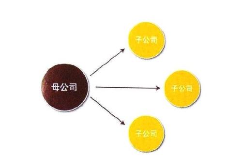如何设立母公司满足什么条件 如何设立母公司满足什么条件