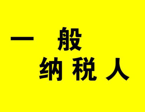 代理记账 一般纳税人