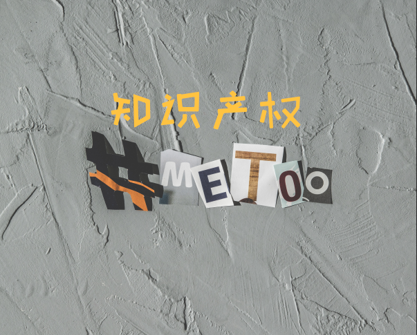 知识产权 知识产权