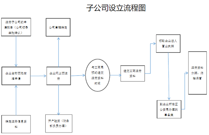 有限公司设立子公司流程图