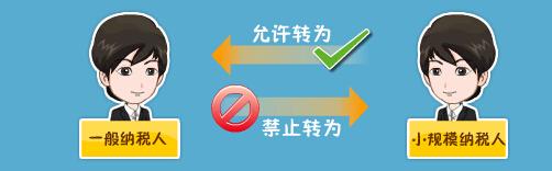 一般纳税人