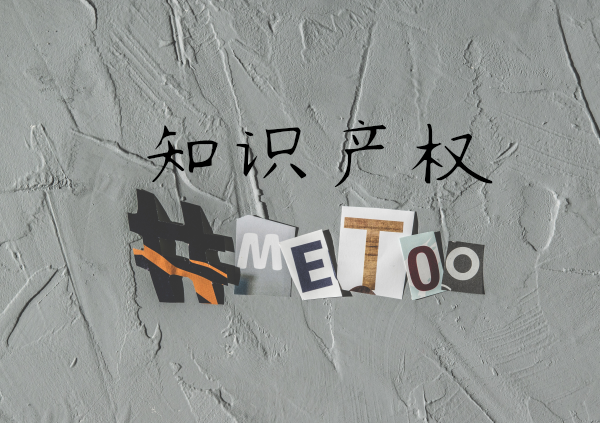 知识产权