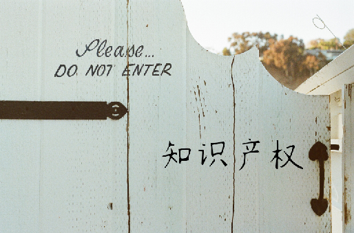知识产权
