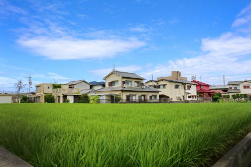 国际旅行社经营许可证