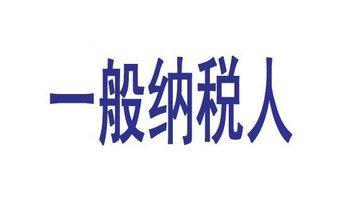 一般纳税人 一般纳税人