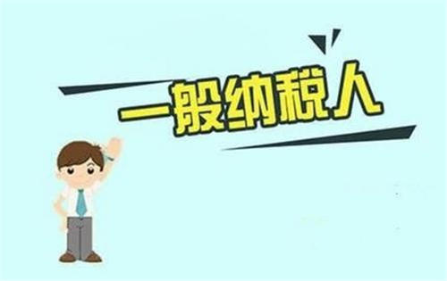 一般增值税纳税人