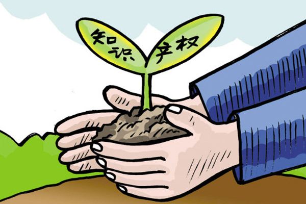 知识产权 知识产权