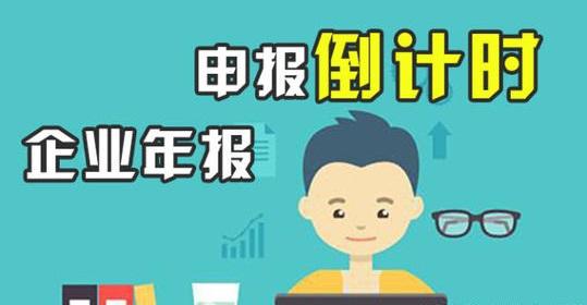 企业年报