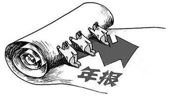 企业年报 企业年报