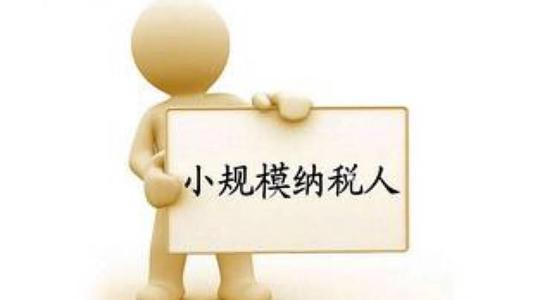 小规模纳税人企业 小规模纳税人企业