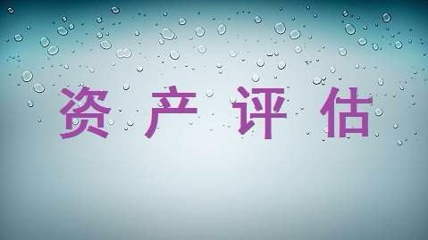 资产评估有什么作用,资产评估的特点
