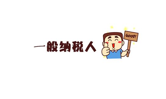 西城一般纳税人 一般纳税人