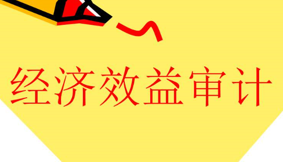 什么是经济效益审计,有何特点？