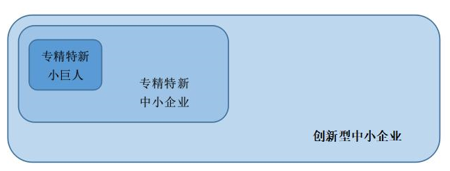 专精特新中小企业认定,创新型,专精特新与小巨人的区别