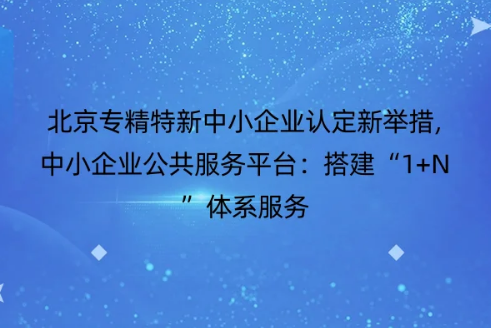 北京专精特新中小企业认定新举措,中小企业公共服务平台：搭建“1+N”体系服务