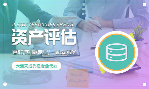 2024年(最新)资产评估报告模板